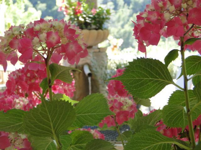 Les Florets Gigondas Buitenkant foto