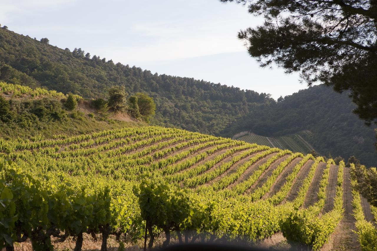Les Florets Gigondas Buitenkant foto